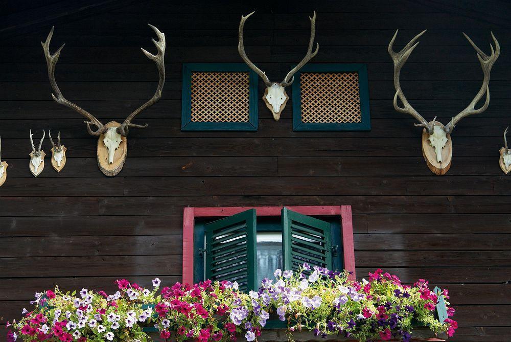 Angerer Alm Sankt Johann in Tirol Exterior photo